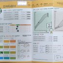 k-최강태권도 이미지