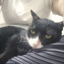 세븐일레븐 한강광나루2호점 이미지