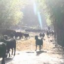 초방리 농장 이미지