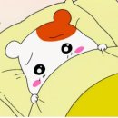 꿀꿀이PC 이미지