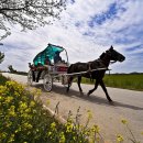 내고향 마차 이미지