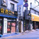 금돈산