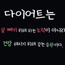 녹색지대허브다이어트