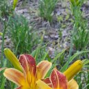 해거름길 이미지