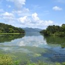 다산생태공원[능내-1] 이미지