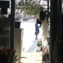 이동꽃마을 이미지