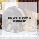 네일이야기 이미지