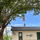 해가빛 | 춘천 한정식 맛집, 프라이빗룸 영양 돌솥밥 정식 해가빛 후기