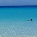 데이인(day in) 이미지