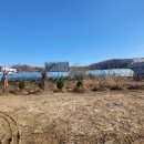 김건우공인중개사사무소 이미지