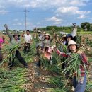 주식회사 순진 | 다시 철원에..!! (철원농활 후기)