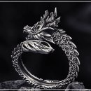 커플 드래곤 이미지