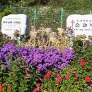 사랑의꽃배달 이미지