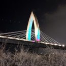 팔달대교 야경 이미지