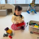 유준 소프트 | 아띠래빗 소프트블럭 돌아기 소근육발달장난감으로 합격
