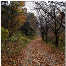 광림농원 이미지