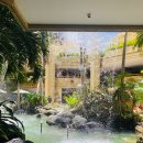 낙원A목장 | 나의 하와이 신혼여행기(0편) - 준비사항 (ESTA 신청, 여행사 가야투어 계약, 헬리콥터 투어/쿠알로아...