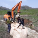 선거 농로 이미지