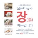 차전펫푸드 이미지