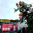 문관현 도의원 ''강원랜드 고객확인제도 강화, 석탄산업전환지역 생존권 위협 이미지