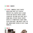 방과후컴퓨터