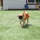 아임버디 이미지