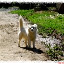 남양농장 이미지