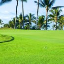 씨채널 희망점 이미지