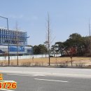 정부경북지방합동청사 앞 이미지