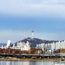 강아지 월동준비, 폴바셋 피스타치오 아이스크림, 한강해치카 정거장 반포세빛섬