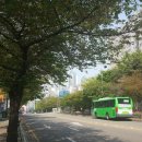 법무사안광훈사무소 이미지