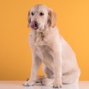 D&C동물병원 이미지