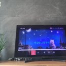 (3/8~3/13) 아차산과 신토불이 성수기행의 후유증과 드라이브 마이 카를 보며 보낸 휴가