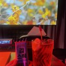 영화동골방 티스토리