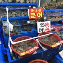 물결수산 이미지