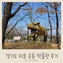 미호박물관 | 경기도 남양주 아이와 함께 미호 공룡 박물관 체험 학습 꿀팁 방문 후기