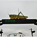 함평나비(무안) 이미지