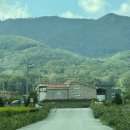 열명의농부채식당 이미지