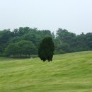 사시사철-풍요 이미지