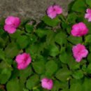 건축이야기 1 이미지