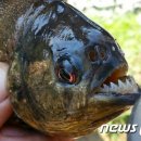 마옥환경 이미지