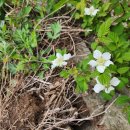 상서재1로 이미지