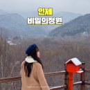 인제02-1 | 강원도 인제 비밀의정원 주차장 및 포토존 명소 후기