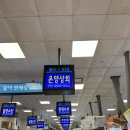 노량진 5만원짜리 푸짐한 모둠회(온양상회) 후기