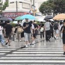 울산지역 40일 만에 단비…해갈 역부족 이미지
