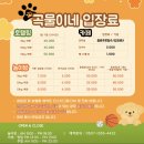 완도유치원 | 완도 애견유치원 | ‘곡물이네’ 종일 놀이방 후기🐶
