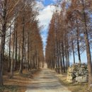 호계로 291번길 이미지