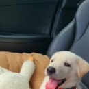 멍문(moon) 이미지