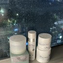 다구리셀 | (OPEN) 에끌라두/ 쓰리스킨 병풀패드 공구 오픈