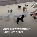 아이몽 애견 유치원 | 의정부 애견유치원 :: 의정부 믿을만한 애견유치원 &amp; 애견호텔